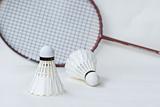 张帅晋级澳 张帅晋级澳