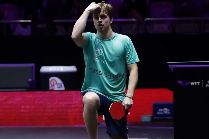 提名或荣誉 提名或荣誉