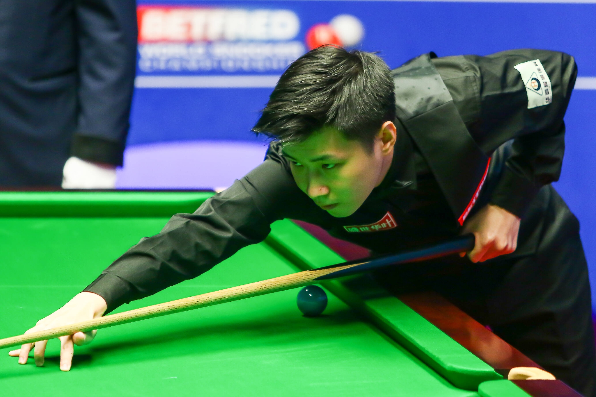 鹿岛鹿角的 鹿岛鹿角的